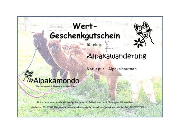 Geschenk-Gutschein